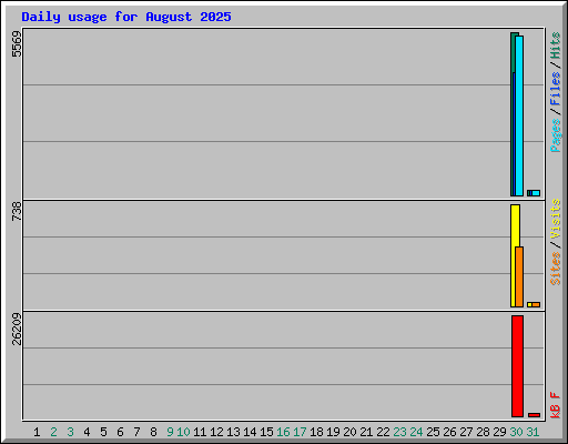 Daily usage for August 2025
