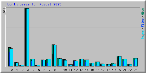 Hourly usage for August 2025